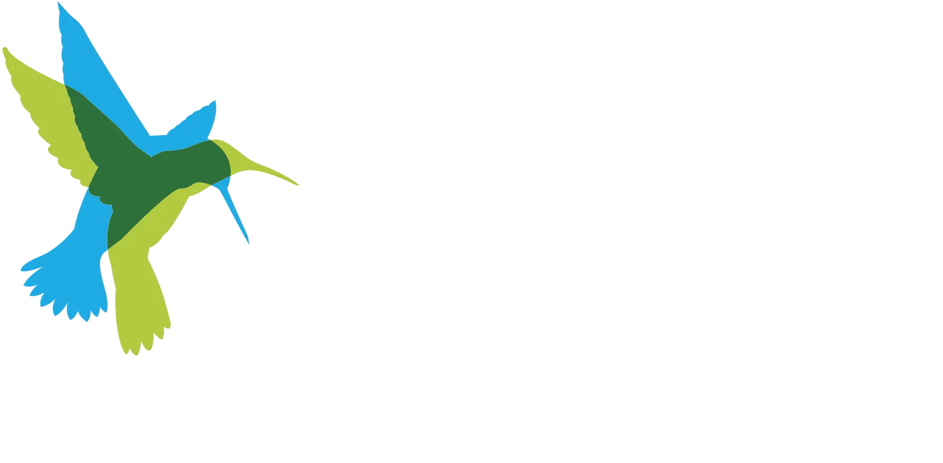 BenchLab - Powered by The Blue Hour
